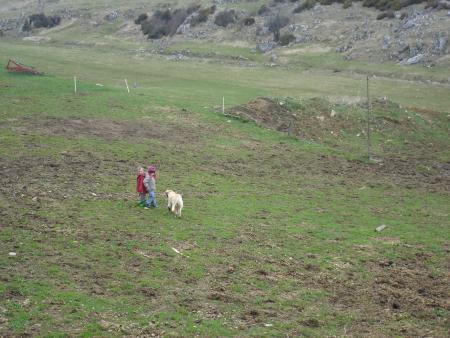 Nous avons fait plein de rencontres : un chien...