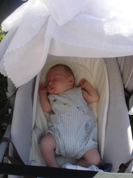 Le plus petit des invit�s : Nicod�me