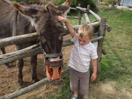 J'ai rencontr� plein d'animaux : un �ne...